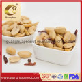 Hot Selling Roasted and Salted Peanut Kernels Best Taste